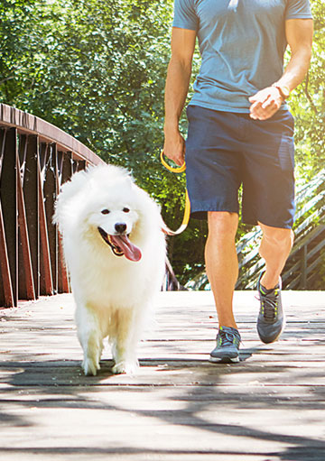 Walking paths and trails are plentiful in and around Cambrian Rise. Situated just off the Burlington Bike Path you can walk, run, or ride to beaches, dog parks, and more