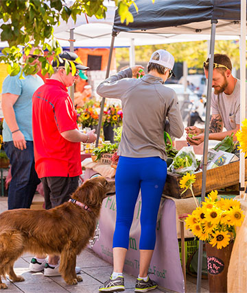 Visit the local farmers markets around Burlington VT